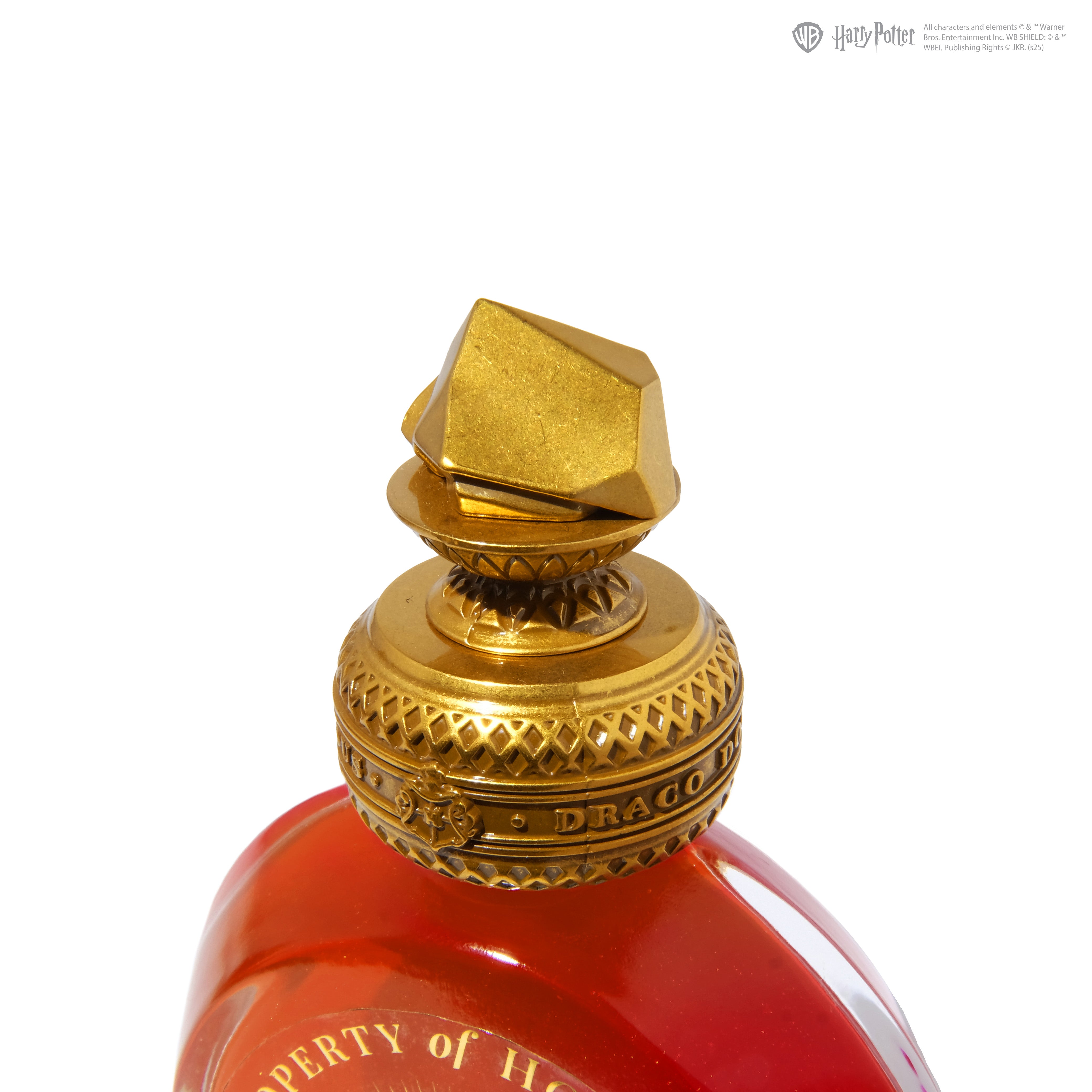 Ferris Wheel Press x Harry Potter 38ml Bottled Ink - The Sorcerer's Stone