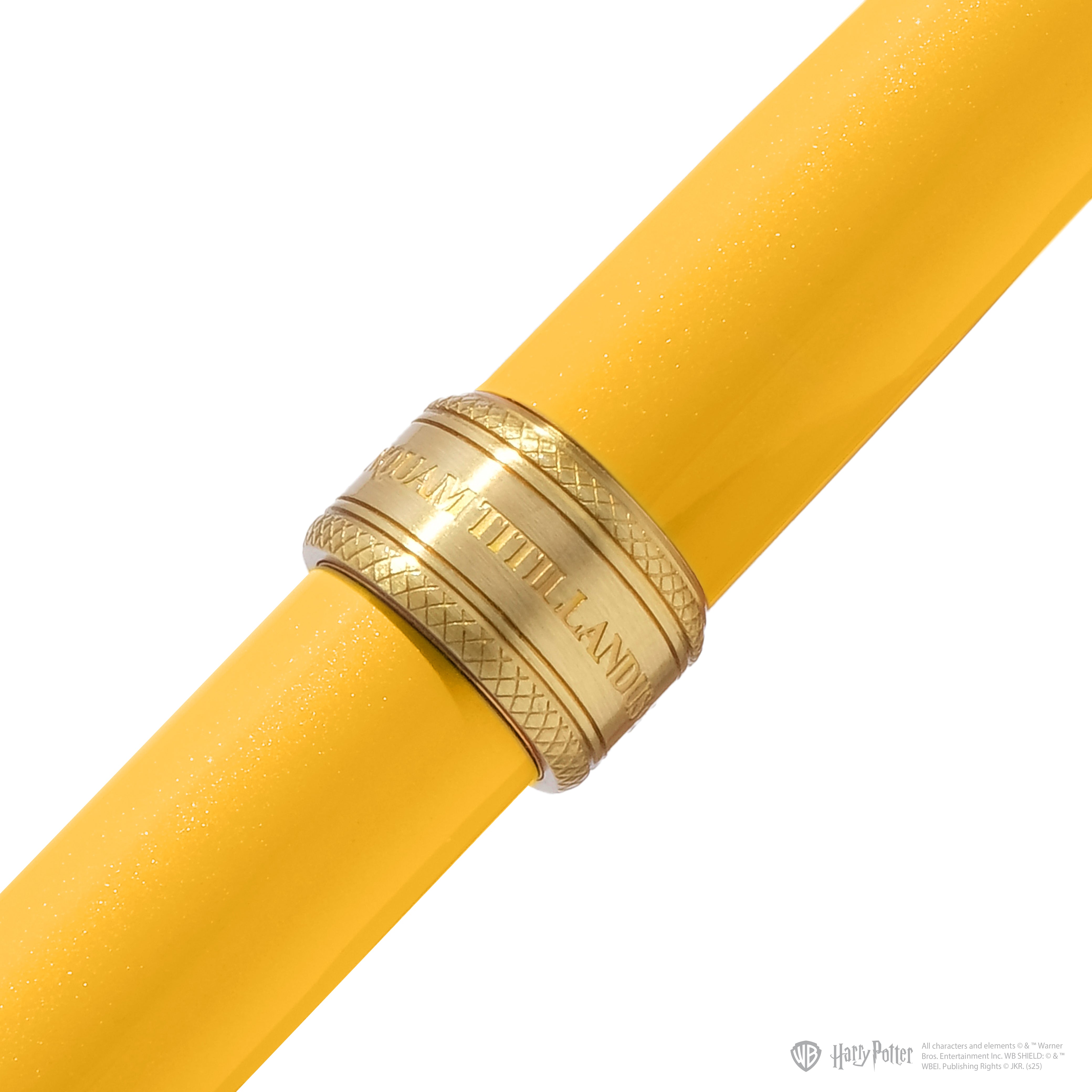 Ferris Wheel Press x Harry Potter Joule Fountain Pen - Hufflepuff