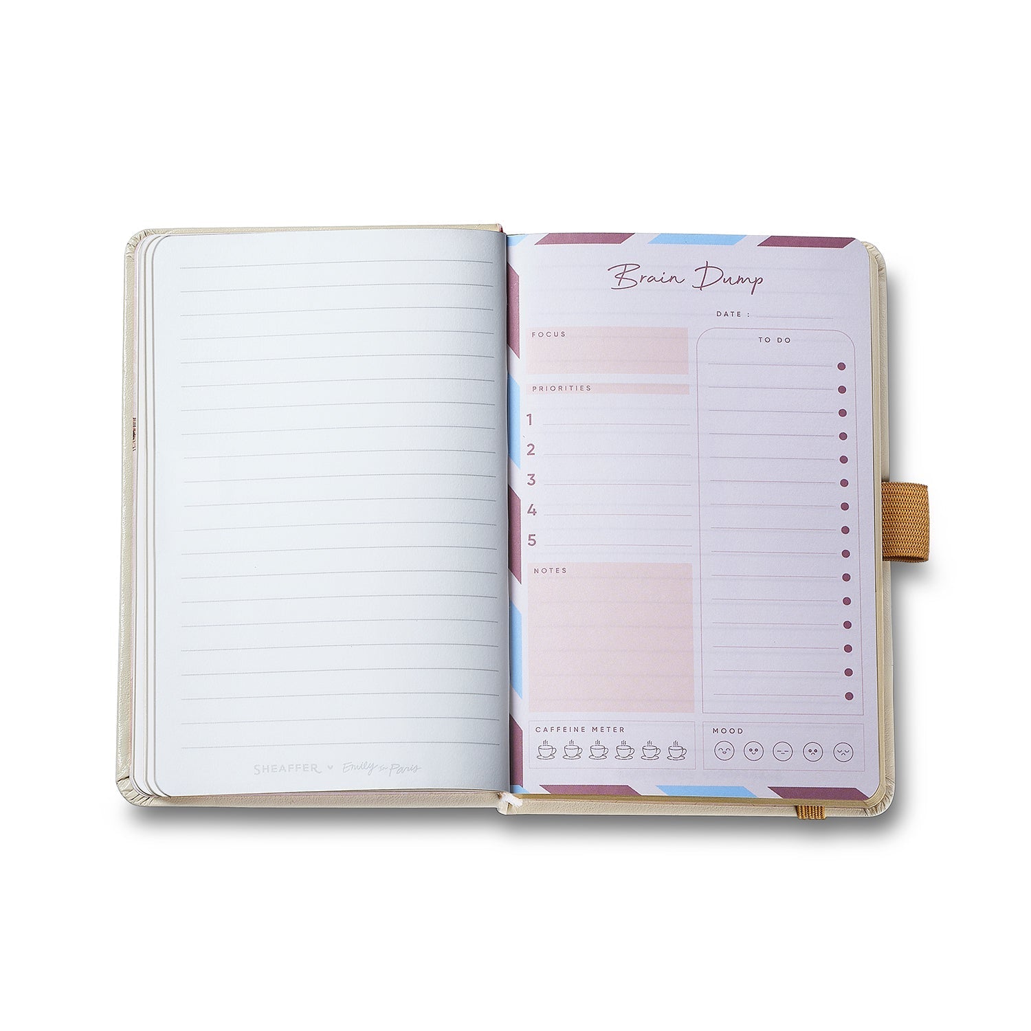 Sheaffer 100 Emily in Paris 9377 Champagne Gold Ballpoint Pen & Hardbound Small Notebook Gift Set