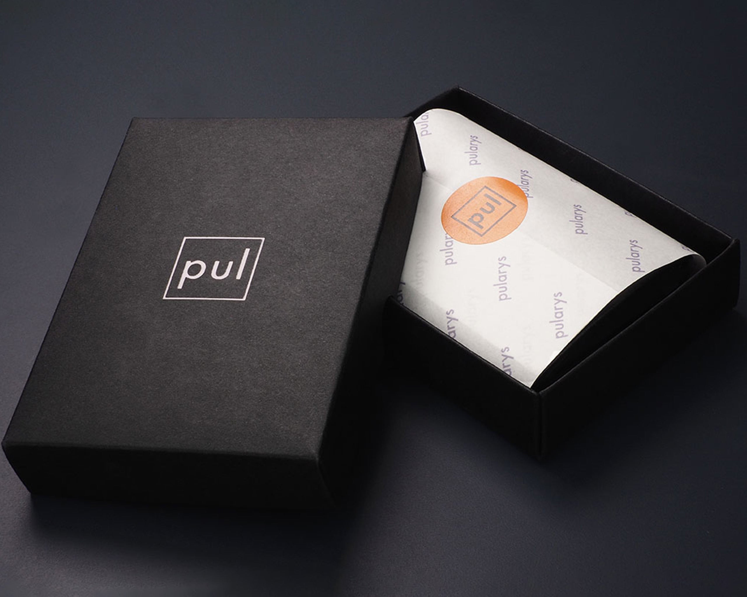 Pularys BOSTO Wallet - Nomad Leather in Black